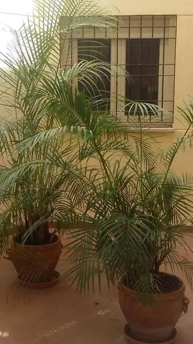 Espacio Malaga Apartment